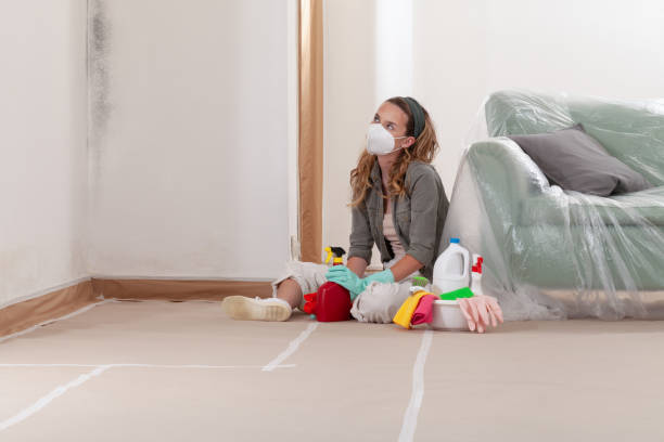 Reliable Commercial Mold Remediation contractor in Spring, TX by 24 Hour Mold Removal