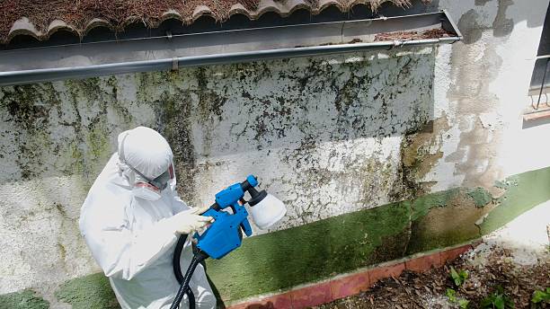 Top rated local Commercial Mold Remediation specialists in Spring, TX